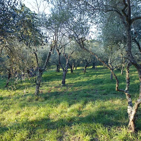 Appartement Il Nuvoloso 2 *