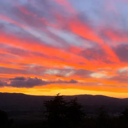 アパート Il Nuvoloso 2