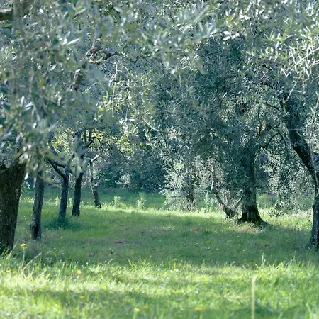 Il Nuvoloso 2 Apartman *
